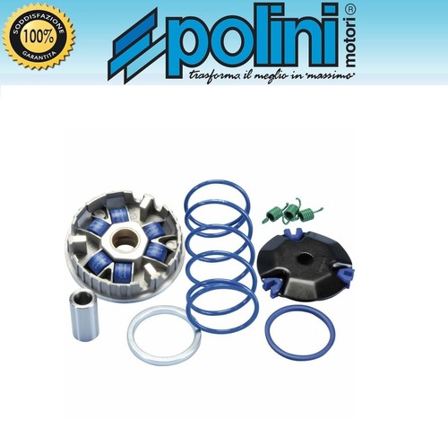 Polini variatore 241 672 - polini,