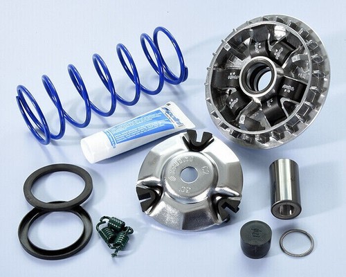 Variatore polini 241 - variatore, 241.755