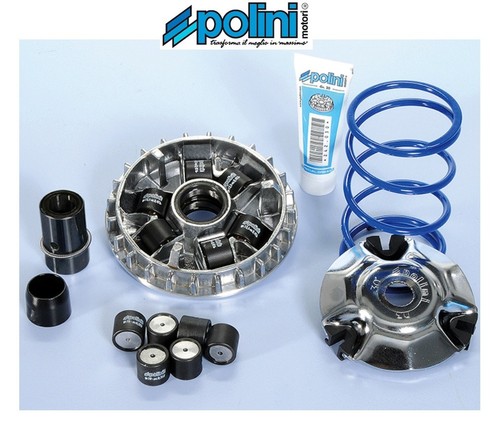 Polini 241 713 variatore - polini, 241.713