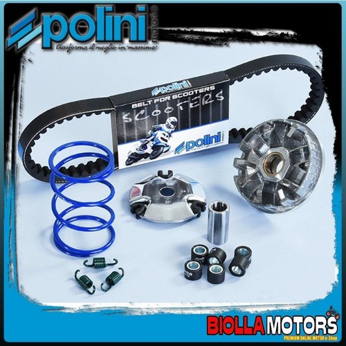 241 745 variatore speed - 241.745,