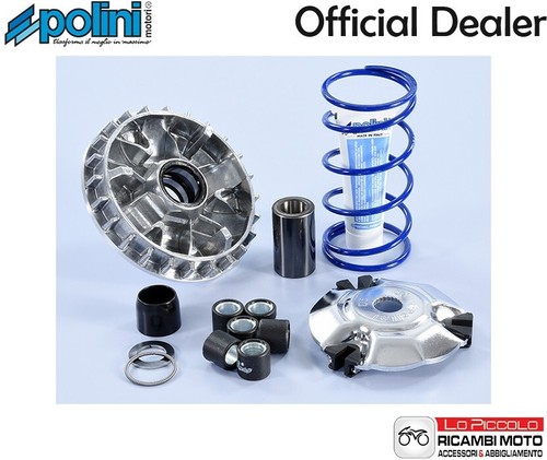 241 766 variatore polini - 241.766,