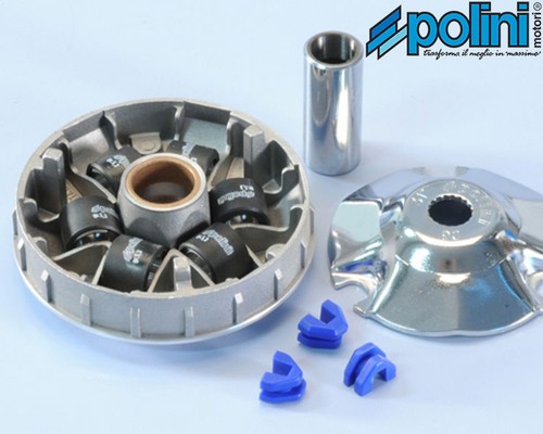 241 613 variatore polini per - variatore,