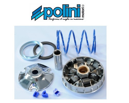 Polini 241 672 variatore - 241.672,