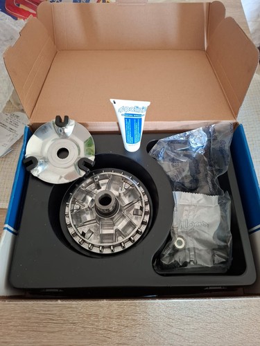 Variatore polini peugeot - variatore,