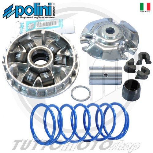 241 690 variatore - 241.690,