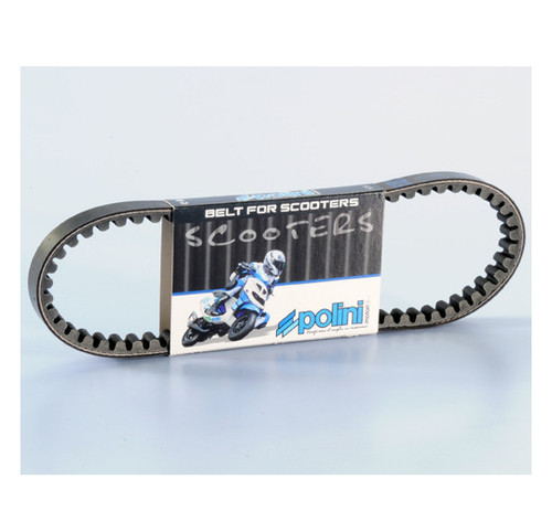 Cinghia variatore polini - variatore,