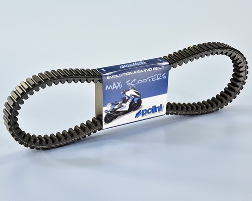 Cinghia variatore polini honda - cinghia,