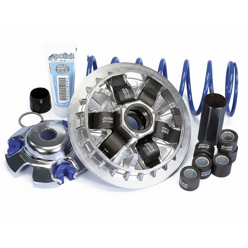 241703 variatore polini - variatore,