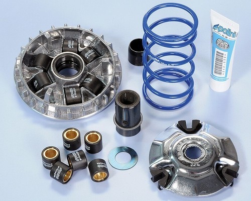 241 710 variatore polini - 241.710,